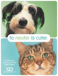 To Neuter is Cuter [ 108.95 Kb ]