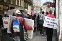 Anti-fur protest Zagreb 2009 k [ 113.98 Kb ]