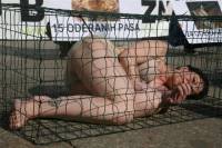 Anti-fur protest Zagreb 2009 w [ 86.86 Kb ]