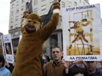 Stop pokusima na primatima