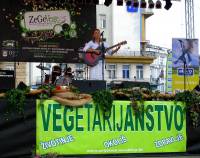 ZeGeVege festival 2009 [ 505.93 Kb ]
