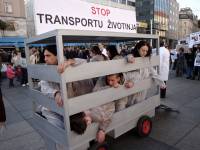 Prosvjed protiv transporta �ivotinja 2009. [ 478.87 Kb ]