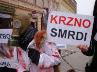 Akcija protiv krzna u Novom Sadu 1 [ 87.20 Kb ]