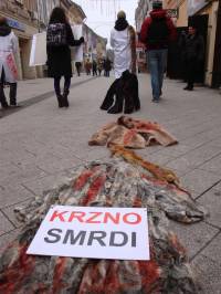 Akcija protiv krzna u Novom Sadu  a [ 151.34 Kb ]