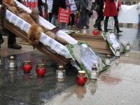 Demo against fur in Zagreb 2010 [ 483.10 Kb ]