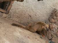 Zoo u Zatonu Obrova�kom 3
