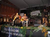 ZeGeVege Festival 2010 - 25 [ 106.88 Kb ]