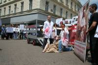 Prosvjed protiv transporta �ivotinja, Zagreb  2012 [ 103.97 Kb ]