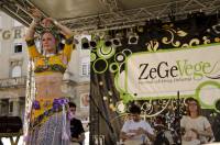 ZeGeVege 2012 [ 365.25 Kb ]