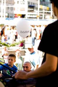ZeGeVege 2012 [ 441.73 Kb ]