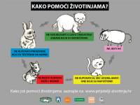 Plakat 'Kako pomo�i �ivotinjama?' [ 94.55 Kb ]