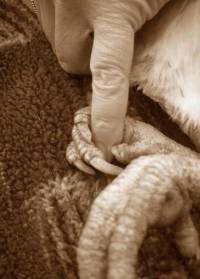 Touch [ 68.61 Kb ]