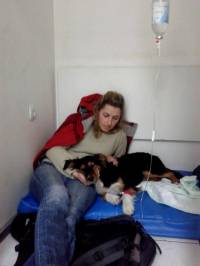 Otrov i na Srebrnjaku. Danas, 26.2.2013. na�a �ira (osmomjese�na mje�anka)se otrovala jo� nepoznatim otrovom na podru�ju Srebrnjaka, to�nije ulica Zeleni dol. Mi smo je na prvi znak trovanja (povra�anje, pjena na usta, tresenje) hitno odveli veterinaru, t [ 45.25 Kb ]