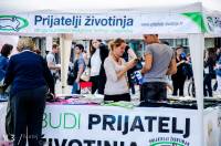 ZeGeVege festival 2014, photo: Matej �elar [ 426.85 Kb ]