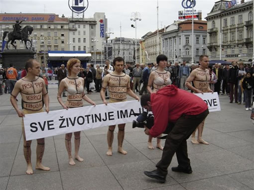 Sve životinje imaju iste dijelove 1 Sve životinje imaju iste dijelove 1