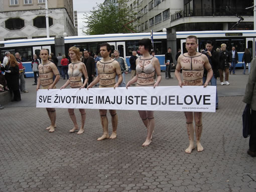 Sve životinje imaju iste dijelove 5 Sve životinje imaju iste dijelove 5