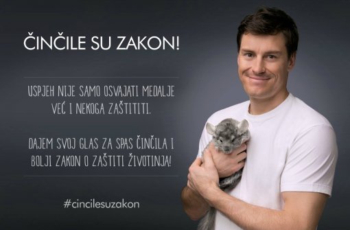 �in�ile su zakon - Ivica Kosteli� [ 88.06 Kb ]