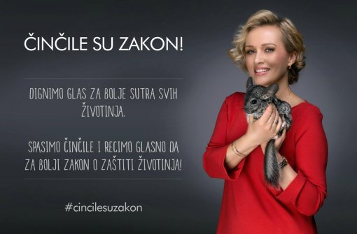 �in�ile su zakon - Vanna [ 95.78 Kb ]