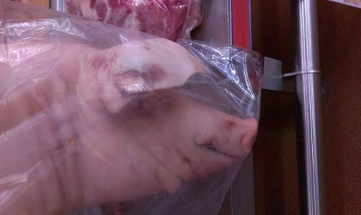 pretuceno prase iz Metroa u Sesvetama [ 101.38 Kb ]