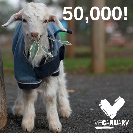 50 000 ljudi u sijecnju 2017. postaju vegani [ 670.72 Kb ]