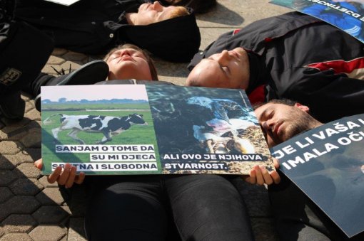 World Day for Farmed Animals 2017. performance [ 105.97 Kb ]