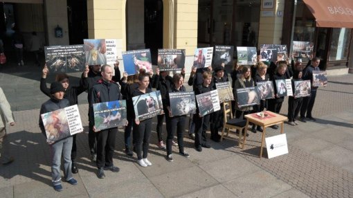 World Day for Farmed Animals 2017. performance [ 115.00 Kb ]