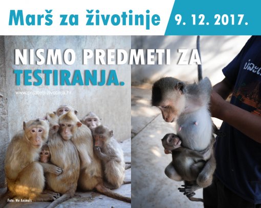 Mar� za �ivotinje [ 553.63 Kb ]