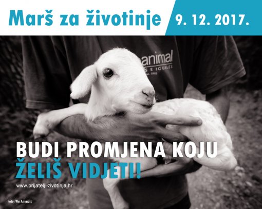 Mar� za �ivotinje [ 448.58 Kb ]