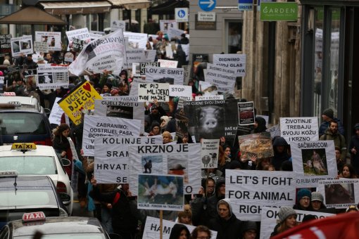 March for the animals, photo: Jelena Rasic [ 434.58 Kb ]