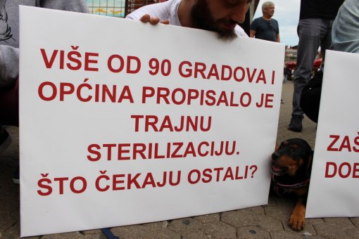 Psi i gra�ani ukazali na problem neprovedbe Zakona [ 181.67 Kb ]