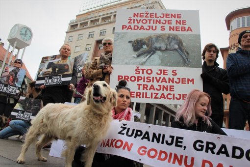 Akcija povodom godi�njice Zakona o za�titi �ivotinja [ 299.96 Kb ]