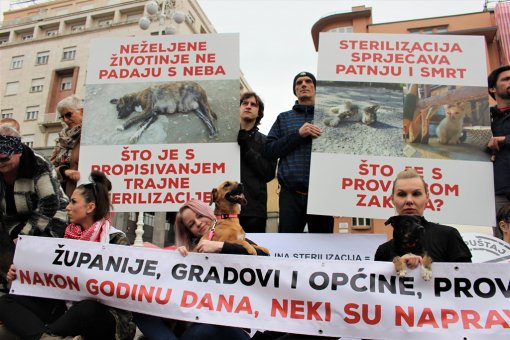 Akcija povodom godi�njice Zakona o za�titi �ivotinja [ 307.54 Kb ]