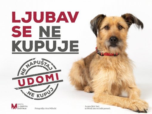 Udomi, ne kupuj [ 141.65 Kb ]