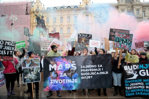 March for the Animals 2018