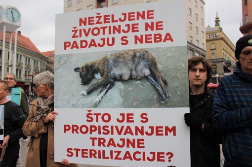 Provedba Zakona o za�titi �ivotinja [ 89.09 Kb ]