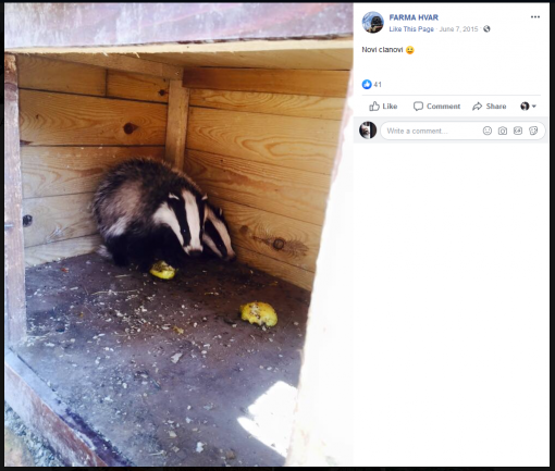 Farma Hvar 2019 [ 789.61 Kb ]