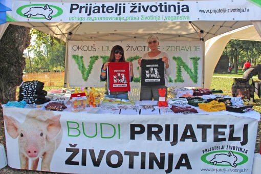 Vege piknik [ 1.17 Mb ]