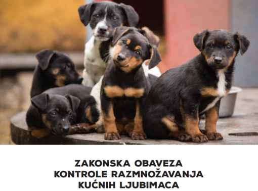 letak o kastraciji