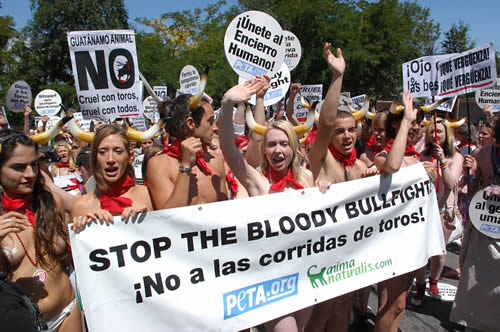 Pamplona 2005-2