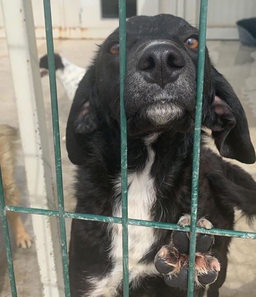 Pigo_FB As Eko [ 208.70 Kb ]