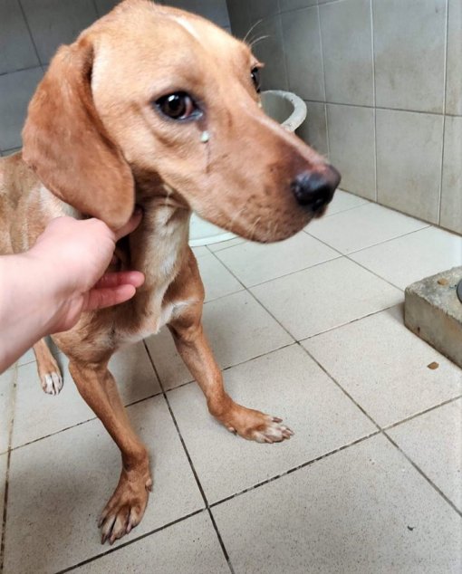 Izzi_FB As Eko [ 158.24 Kb ]