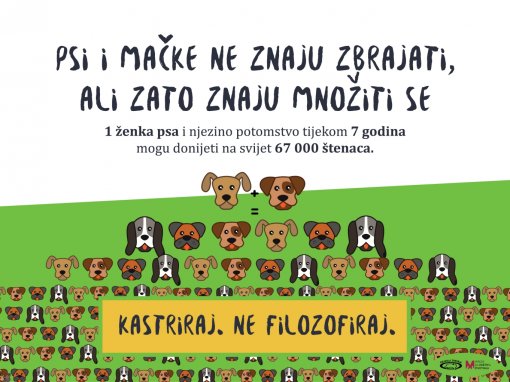 Ma�ke i psi ne znaju zbrajati 2 [ 646.90 Kb ]