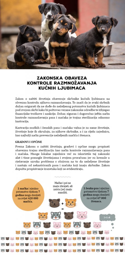 letak o kastraciji 1 [ 447.83 Kb ]