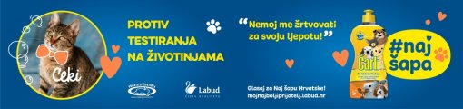 naj �apa 5 [ 193.55 Kb ]