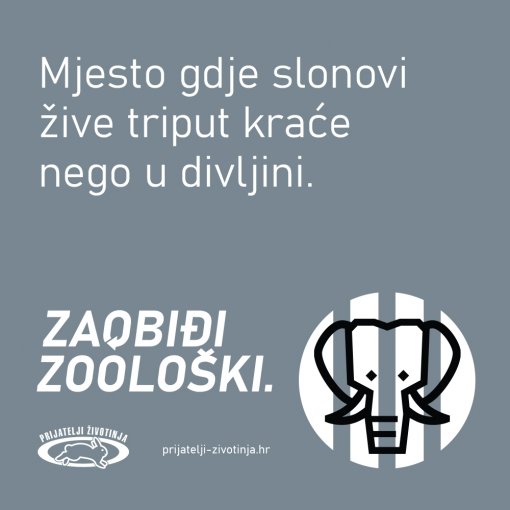 Zaobi�i zoolo�ki slon [ 177.30 Kb ]