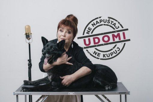 Ne kupuj, udomi [ 115.48 Kb ]