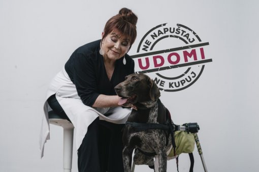 Ne kupuj, udomi [ 108.69 Kb ]