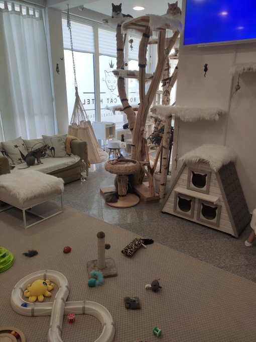 Royal Cat Hotel - cats [ 476.02 Kb ]