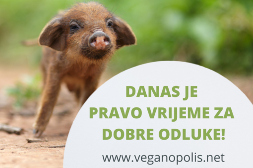 veganuary 2022 [ 695.26 Kb ]