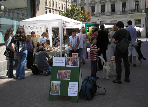 I turisti su vegetarijanci - Zagreb 1 I turisti su vegetarijanci - Zagreb 1